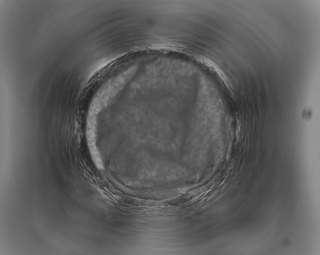 X0000094821064200712141639