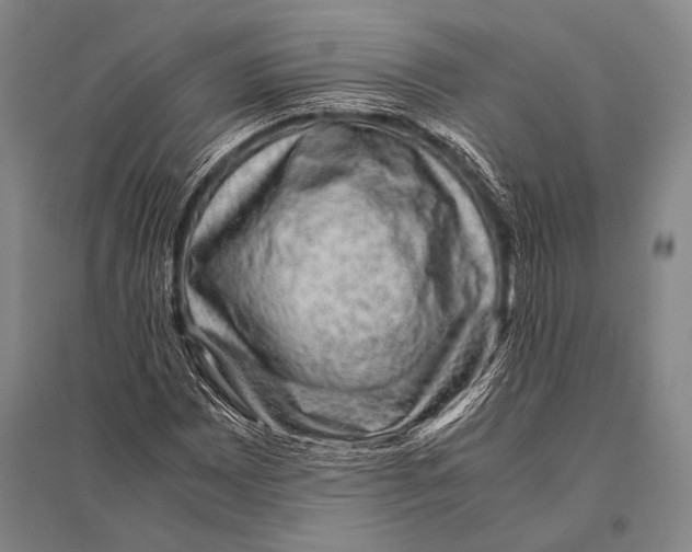 X0000094821065200712141639