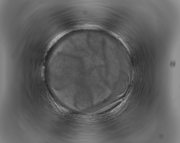 X0000094821066200712141639