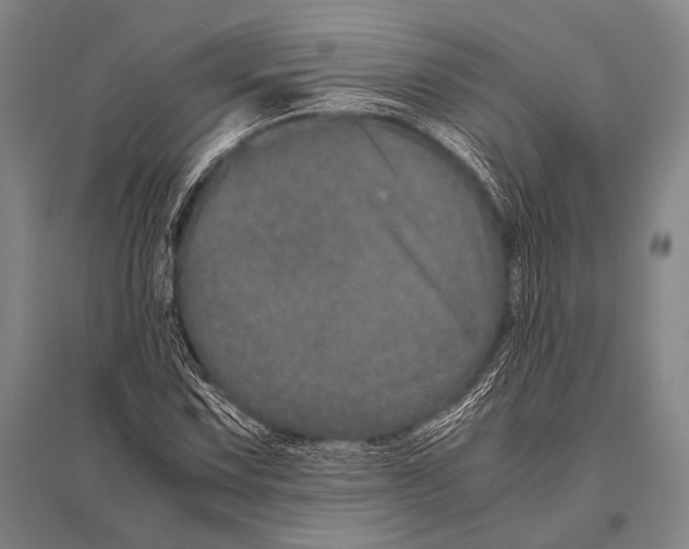 X0000094821067200712141639