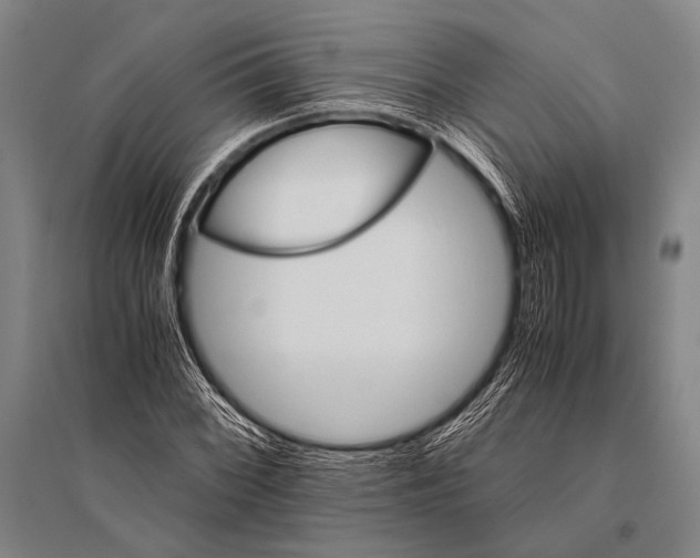 X0000094821068200712141639