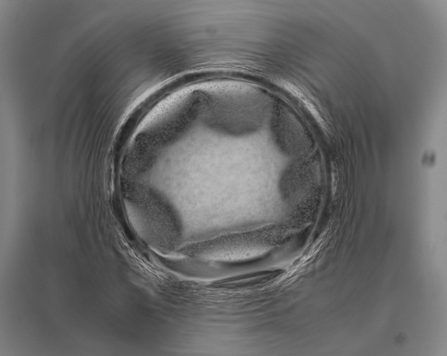 X0000094821069200712141639