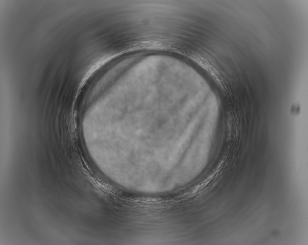 X0000094821070200712141639