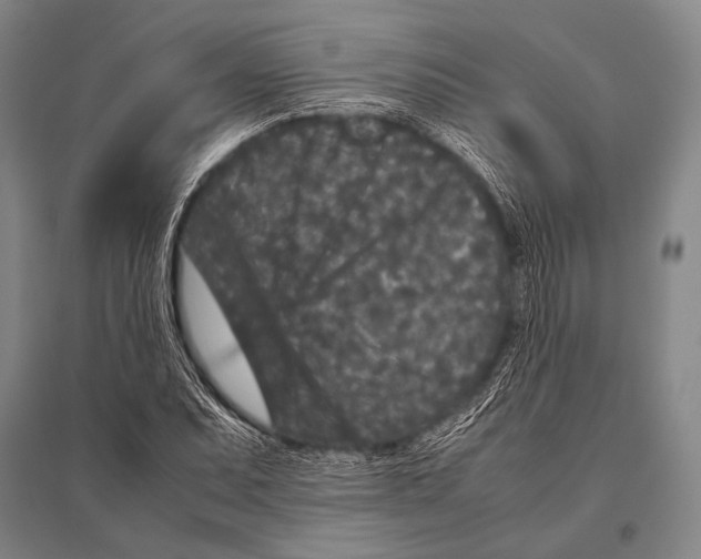 X0000094821071200712141639