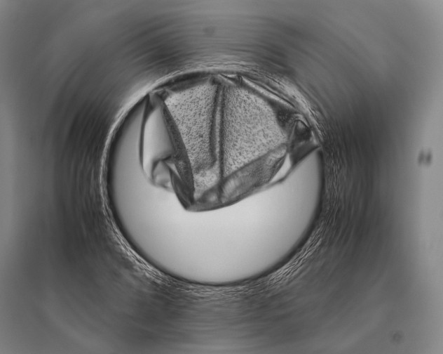 X0000094821072200712141639