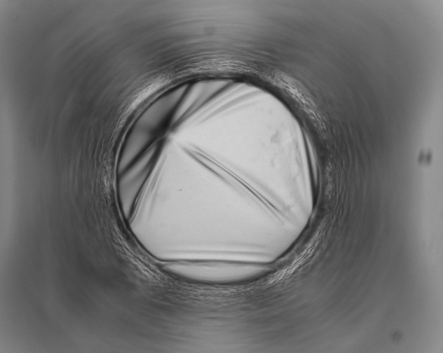 X0000094821073200712141639