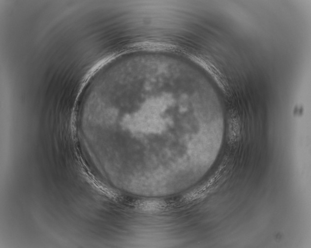 X0000094821074200712141639