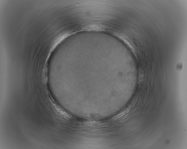 X0000094821075200712141639