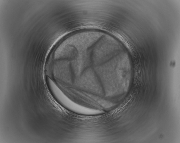 X0000094821076200712141639