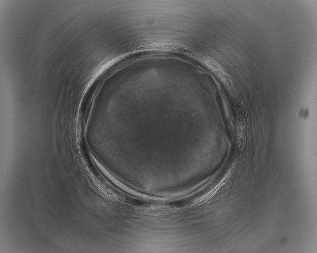 X0000094821077200712141639