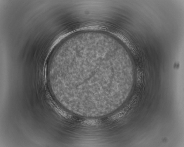 X0000094821078200712141639