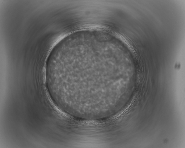 X0000094821079200712141639