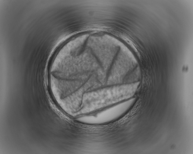 X0000094821080200712141639