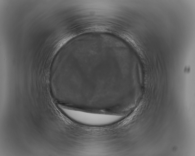 X0000094821081200712141639