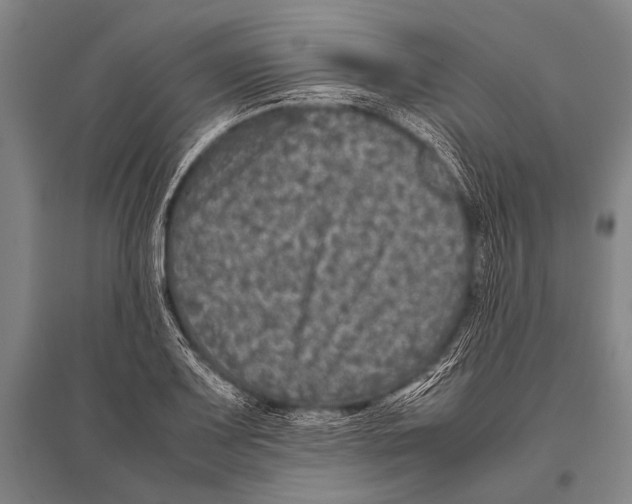 X0000094821083200712141639