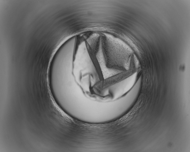 X0000094821084200712141639