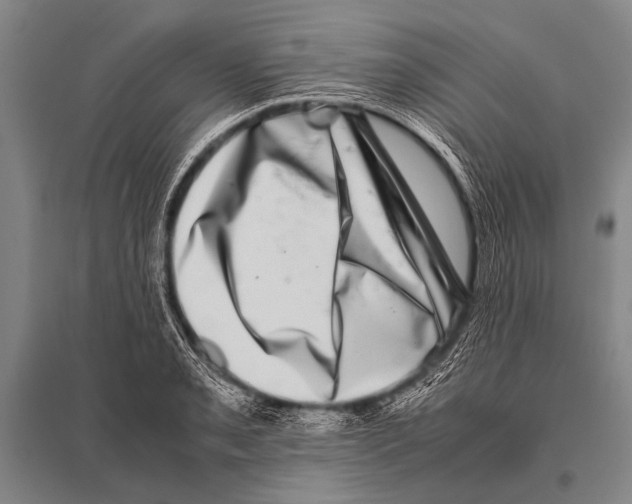 X0000094821085200712141639