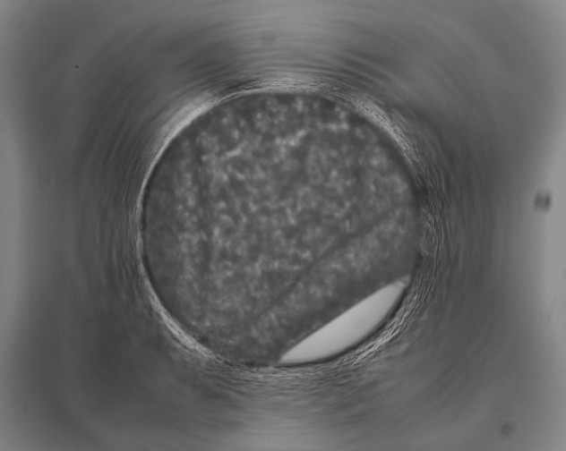 X0000094821087200712141639