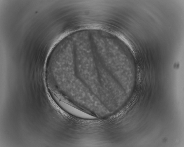 X0000094821088200712141639