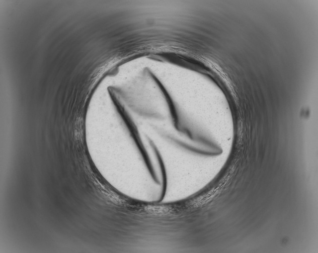 X0000094821089200712141639