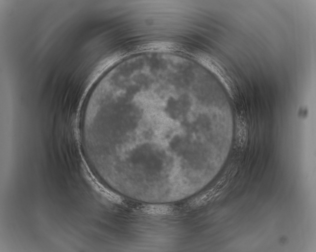 X0000094821090200712141639