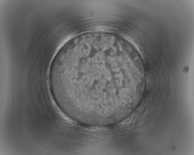 X0000094821091200712141639