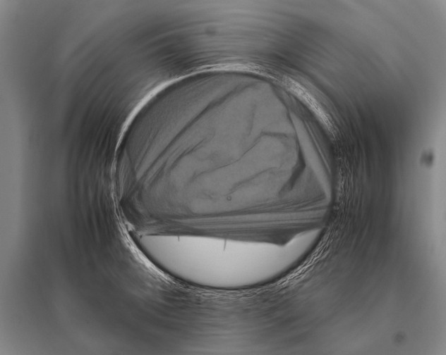 X0000094821092200712141639