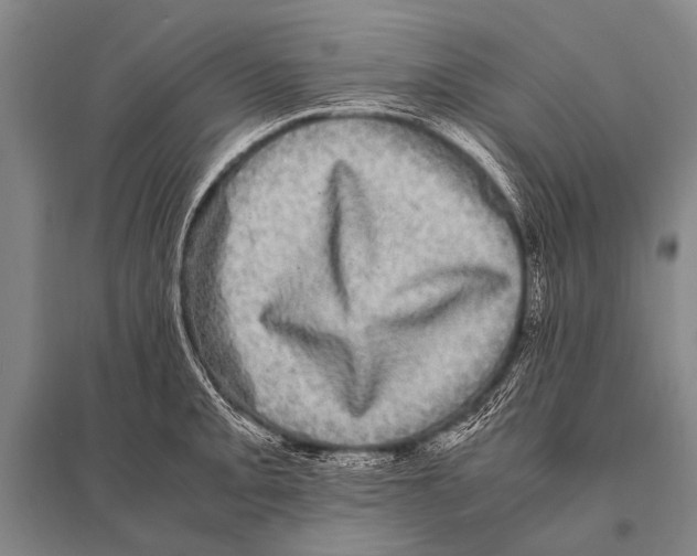 X0000094821093200712141639