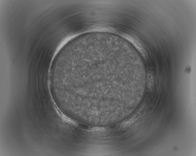 X0000094821094200712141639