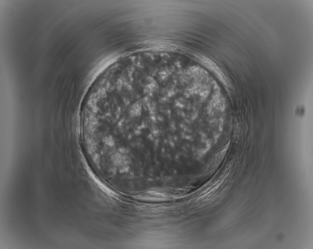 X0000094821095200712141639