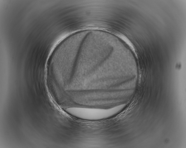 X0000094821096200712141639