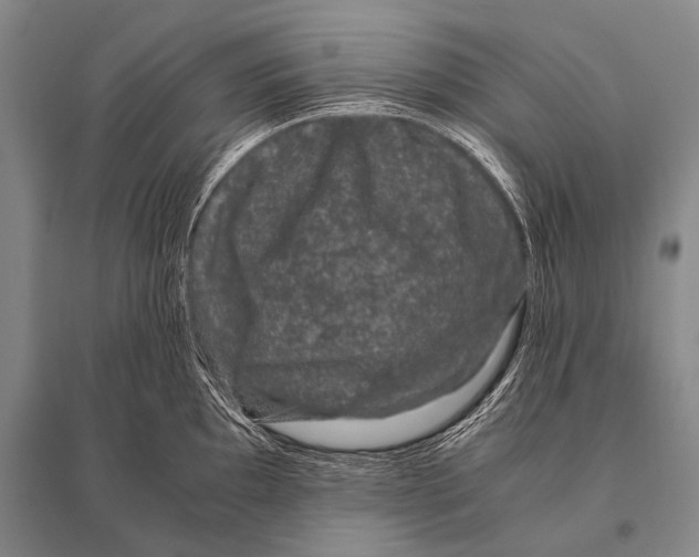 X0000094821097200712141639