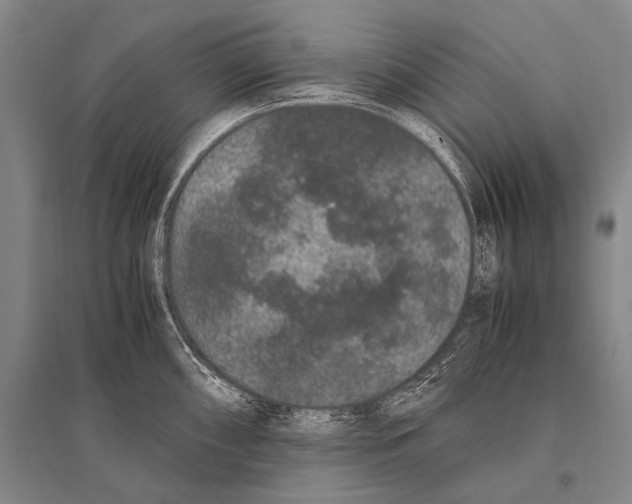 X0000094821098200712141639