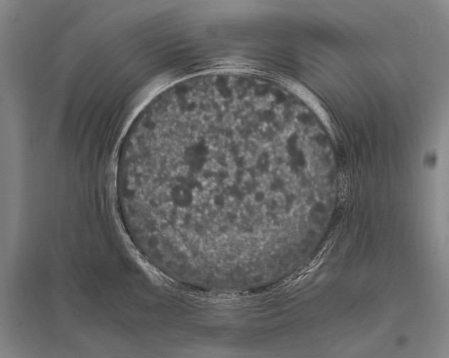 X0000094821099200712141639