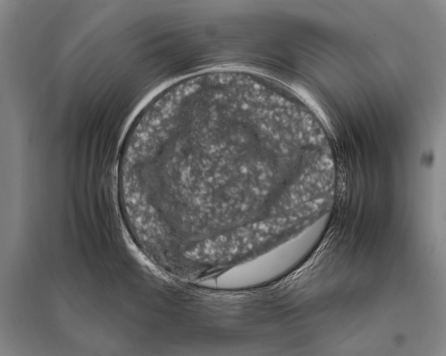 X0000094821100200712141639