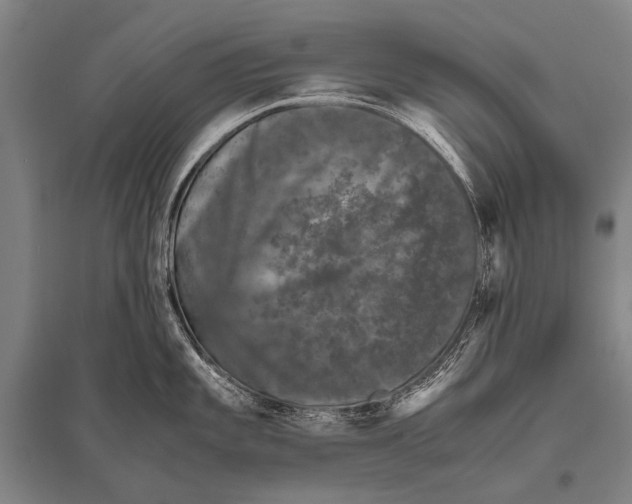 X0000094821101200712141639