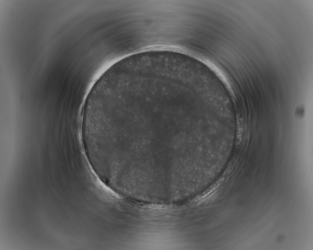 X0000094821102200712141639