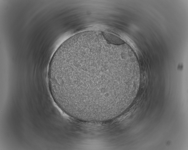 X0000094821103200712141639