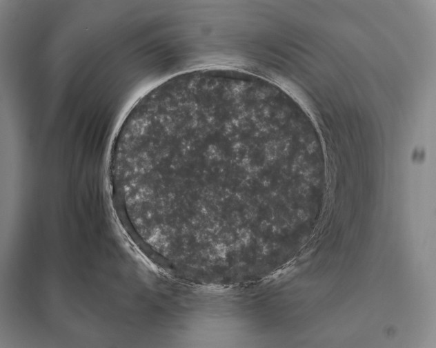 X0000094821104200712141639