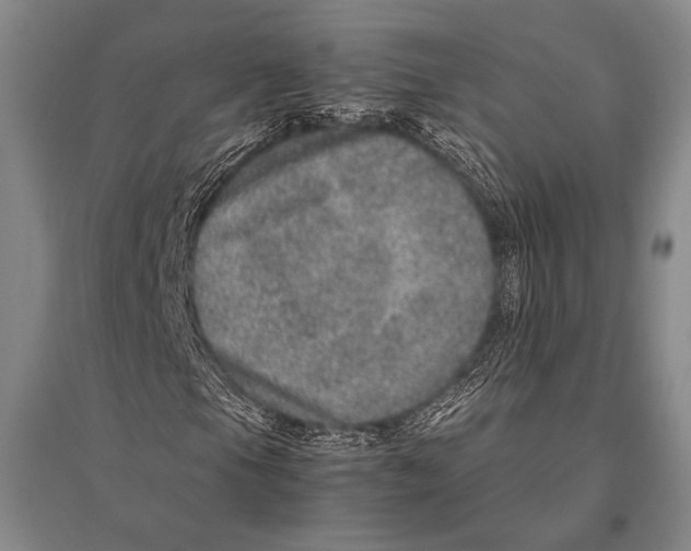 X0000094821105200712141638