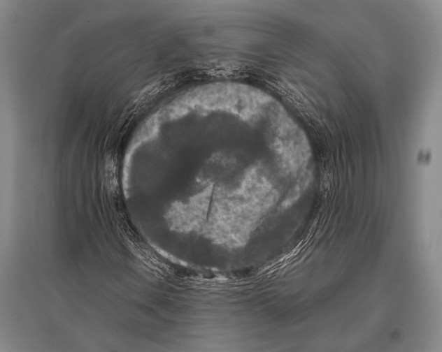 X0000094821106200712141638