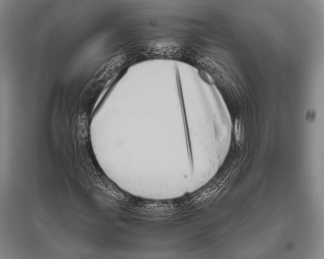 X0000094821107200712141638