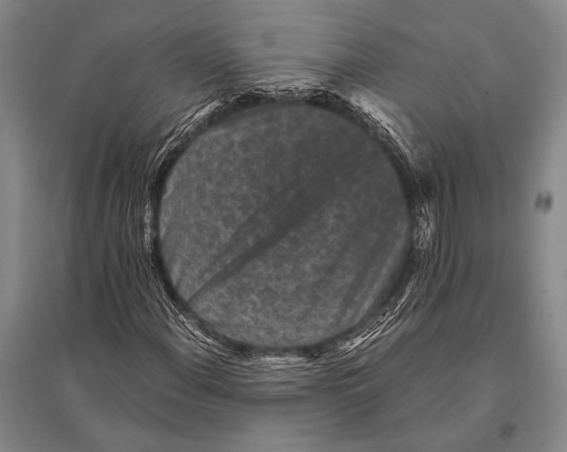 X0000094821108200712141638