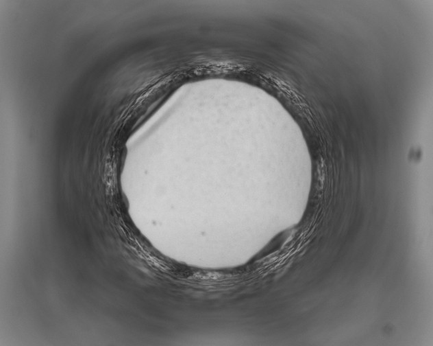 X0000094821109200712141638