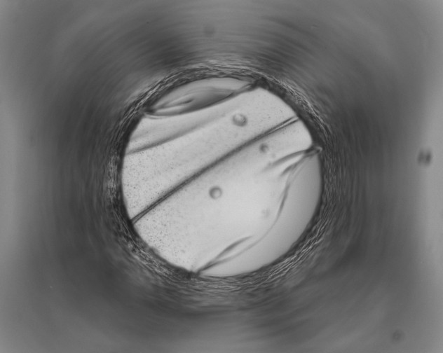 X0000094821110200712141638