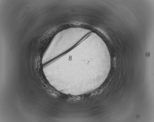 X0000094821111200712141638