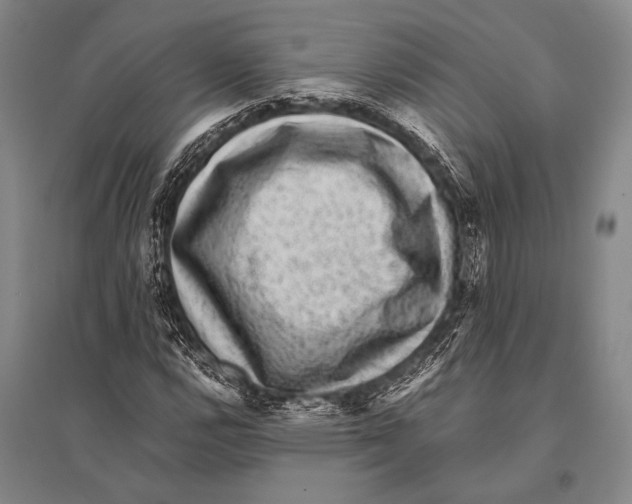 X0000094821112200712141638