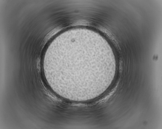 X0000094821113200712141638