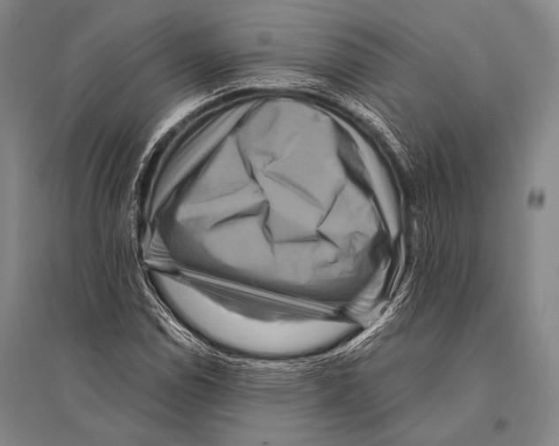 X0000094821114200712141638