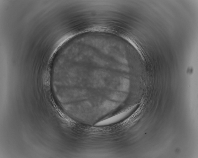 X0000094821115200712141638